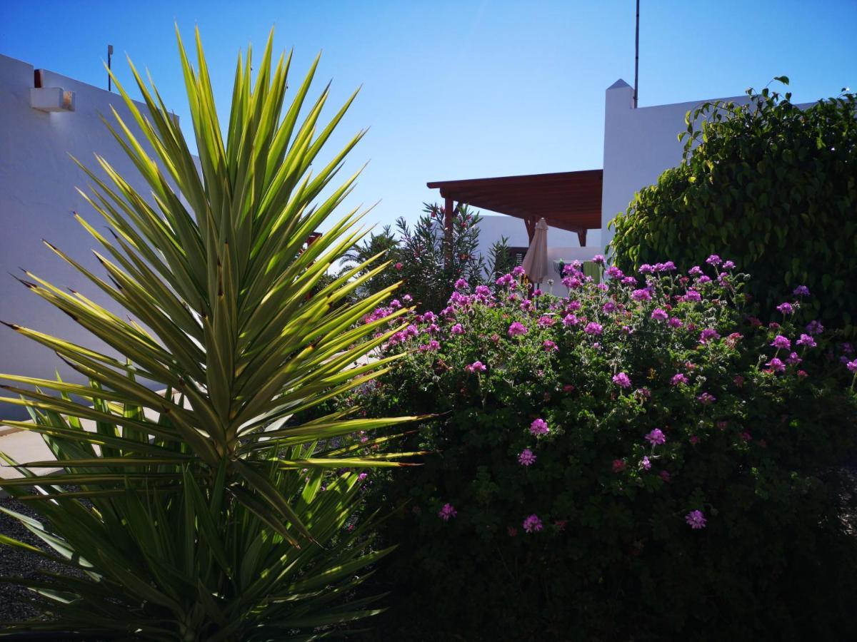 Bungalow Tranquillo E Soleggiato กาเลตาเดฟุสเต ภายนอก รูปภาพ
