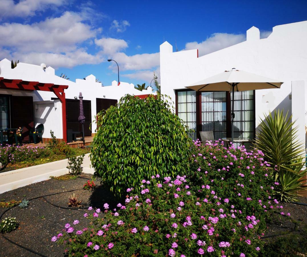 Bungalow Tranquillo E Soleggiato กาเลตาเดฟุสเต ภายนอก รูปภาพ